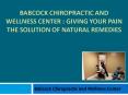Babcock Chiropractic and Wellness Center : Giving Your Pain the Solution of Natural Remedies PowerPoint PPT Presentation
