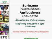 Suriname Sustainable Agribusiness Incubator