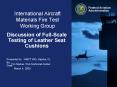International Aircraft Materials Fire Test Working Group PowerPoint PPT Presentation