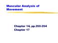 Muscular Analysis of Movement PowerPoint PPT Presentation