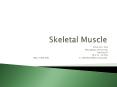 Skeletal Muscle PowerPoint PPT Presentation