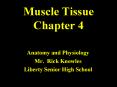 Muscle Tissue Chapter 4 PowerPoint PPT Presentation