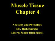 Muscle Tissue Chapter 4