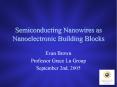 Semiconducting Nanowires as Nanoelectronic Building Blocks PowerPoint PPT Presentation