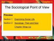 The Sociological Point of View