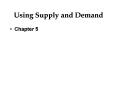 Using Supply and Demand PowerPoint PPT Presentation