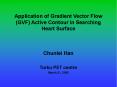Application of Gradient Vector Flow (GVF) Active Contour in Searching Heart Surface PowerPoint PPT Presentation