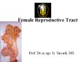 Female Reproductive Tract PowerPoint PPT Presentation