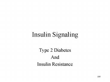 Insulin Signaling