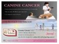 Canine Caviar Cancer Research Foundation  PowerPoint PPT Presentation