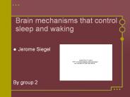 Brain mechanisms that control sleep and waking