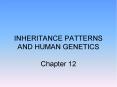 INHERITANCE PATTERNS AND HUMAN GENETICS Chapter 12 PowerPoint PPT Presentation
