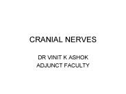 CRANIAL NERVES