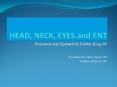 HEAD, NECK, EYES and ENT PowerPoint PPT Presentation