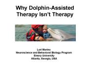 Why Dolphin-Assisted Therapy Isn