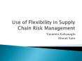 Use of Flexibility in Supply Chain Risk Management PowerPoint PPT Presentation