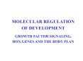 MOLECULAR REGULATION PowerPoint PPT Presentation