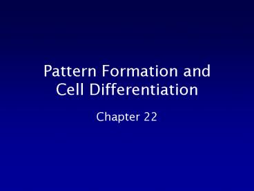 presentation player overlay