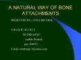 A NATURAL WAY OF BONE ATTACHMENTS PowerPoint PPT Presentation