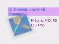 GI Disease: Lower GI Diseases PowerPoint PPT Presentation