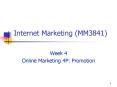 Internet Marketing (MM3841) PowerPoint PPT Presentation