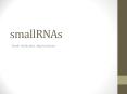smallRNAs PowerPoint PPT Presentation