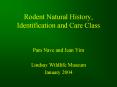 Rodent Natural History, Identification and Care Class PowerPoint PPT Presentation