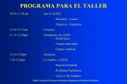 PROGRAMA PARA EL TALLER