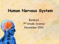 Human Nervous System PowerPoint PPT Presentation