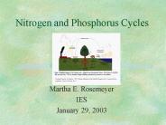 Nitrogen and Phosphorus Cycles