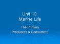 Unit 10: Marine Life PowerPoint PPT Presentation
