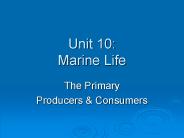 Unit 10: Marine Life