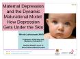 Maternal Depression and the Dynamic Maturational Model: How Depression Gets Under the Skin PowerPoint PPT Presentation