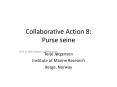 Collaborative Action 8: Purse seine PowerPoint PPT Presentation