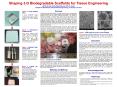 Shaping 3-D Biodegradable Scaffolds for Tissue Engineering PowerPoint PPT Presentation