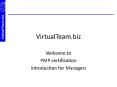 VirtualTeam.biz PowerPoint PPT Presentation