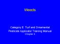 Weeds PowerPoint PPT Presentation