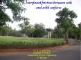 Interfacial friction between soils and solid surfaces PowerPoint PPT Presentation