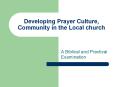 Developing Prayer Culture, Community in the Local church PowerPoint PPT Presentation