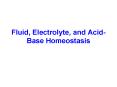 Fluid, Electrolyte, and Acid-Base Homeostasis PowerPoint PPT Presentation