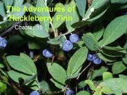 The Adventures of Huckleberry Finn