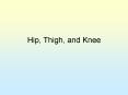 Hip, Thigh, and Knee PowerPoint PPT Presentation