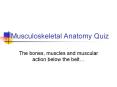 Musculoskeletal Anatomy Quiz PowerPoint PPT Presentation