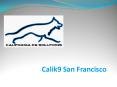 Appropriate and Effective Dog Training in San Francisco, CA PowerPoint PPT Presentation