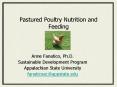 Pastured Poultry Nutrition and Feeding PowerPoint PPT Presentation