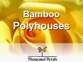 Bamboo Polyhouses PowerPoint PPT Presentation