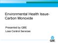 Environmental Health Issue- Carbon Monoxide PowerPoint PPT Presentation