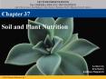 Soil and Plant Nutrition PowerPoint PPT Presentation