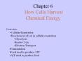 Chapter 6 How Cells Harvest Chemical Energy PowerPoint PPT Presentation