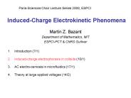Induced-Charge Electrokinetic Phenomena